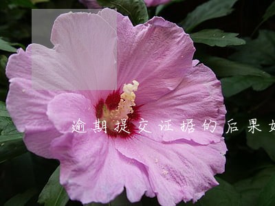 逾期提交证据的后果如何处罚 逾期提交证据的后果如何处罚