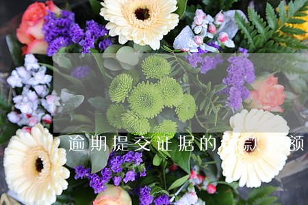 逾期提交证据的罚款数额 逾期提交证据的罚款数额