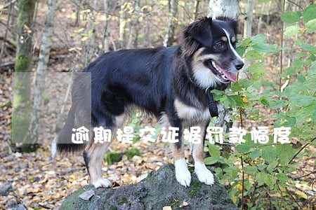 逾期提交证据罚款幅度 逾期提交证据罚款幅度