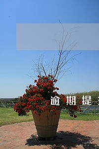 逾期提交证据规定 逾期提交证据规定