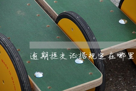 逾期提交证据规定在哪里 逾期提交证据规定在哪里