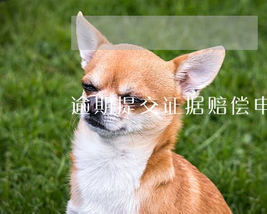 逾期提交证据赔偿申请书 逾期提交证据赔偿申请书