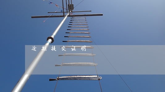 逾期提交证明 逾期提交证明