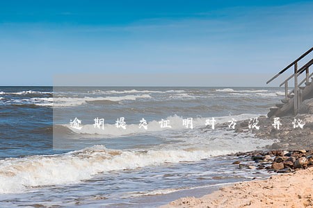 逾期提交证明对方没异议 逾期提交证明对方没异议