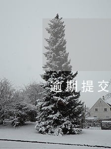 逾期提交转正申请 逾期提交转正申请