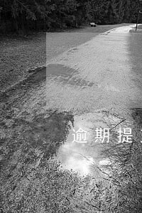 逾期提交鉴定申请 逾期提交鉴定申请
