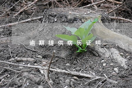 逾期提供病历证明 逾期提供病历证明
