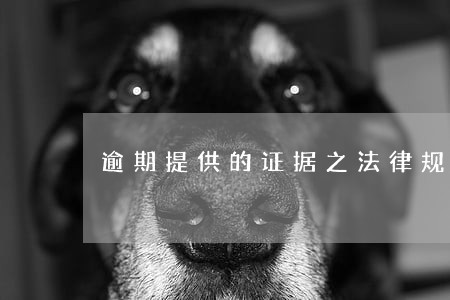逾期提供的证据之法律规定 逾期提供的证据之法律规定