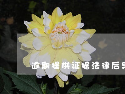 逾期提供证据法律后果