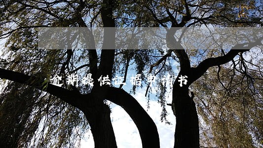 逾期提供证据申请书 逾期提供证据申请书