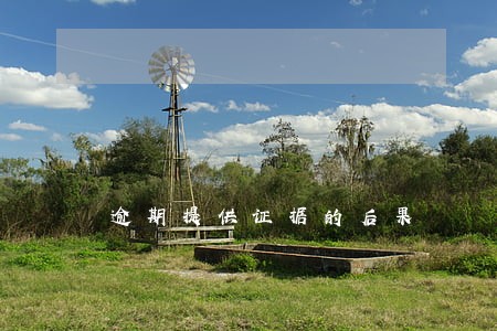 逾期提供证据的后果 逾期提供证据的后果