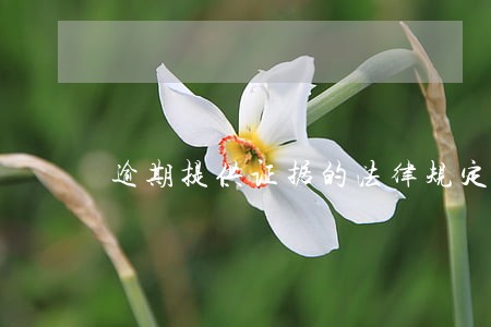 逾期提供证据的法律规定 逾期提供证据的法律规定