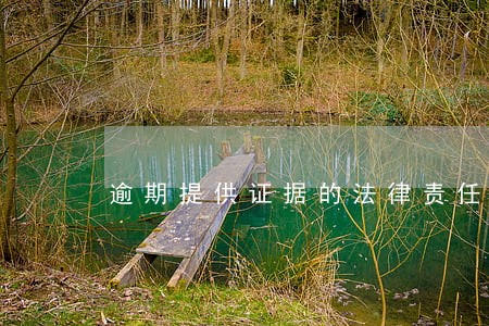 逾期提供证据的法律责任 逾期提供证据的法律责任