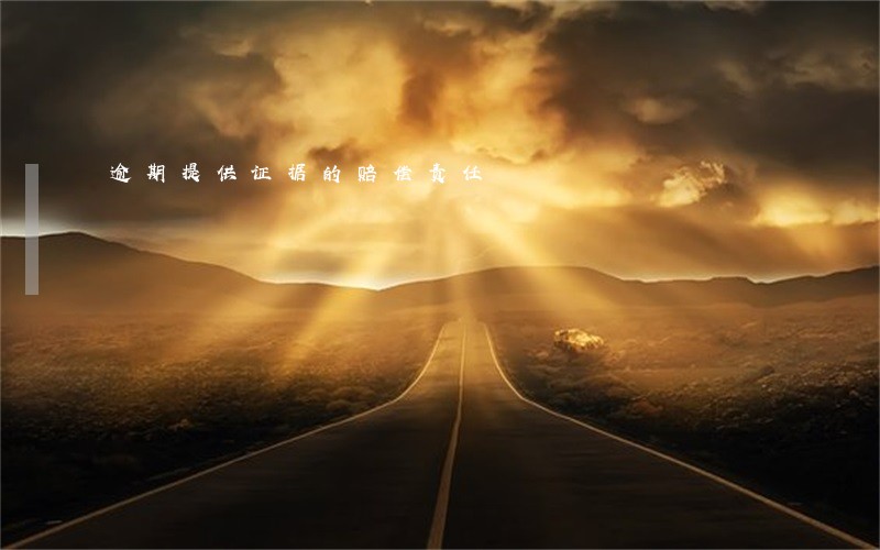 逾期提供证据的赔偿责任 逾期提供证据的赔偿责任