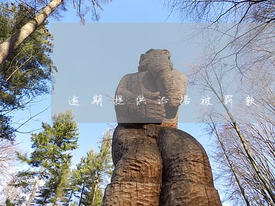 逾期提供证据被罚款 逾期提供证据被罚款