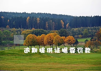 逾期提供证据要罚款 逾期提供证据要罚款