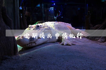 逾期提出申请执行 逾期提出申请执行