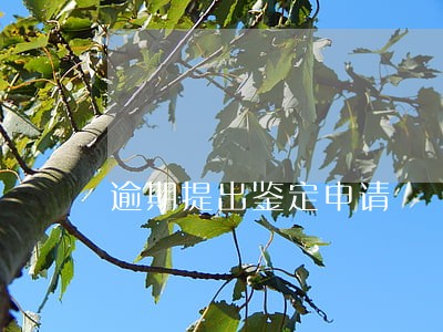 逾期提出鉴定申请 逾期提出鉴定申请