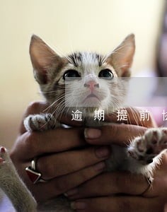 逾期提前协商