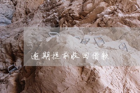 逾期提前收回借款 逾期提前收回借款
