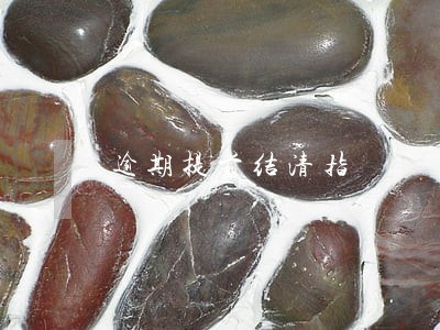逾期提前结清指 逾期提前结清指