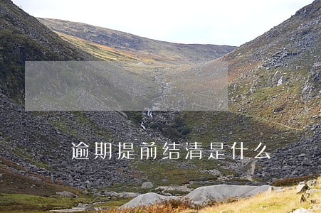 逾期提前结清是什么