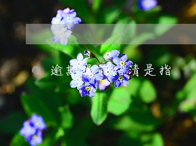 逾期提前结清是指 逾期提前结清是指
