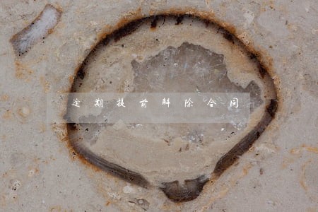 逾期提前解除合同