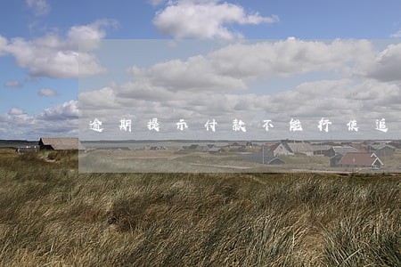 逾期提示付款不能行使追索权 逾期提示付款不能行使追索权