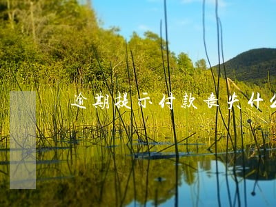 逾期提示付款丧失什么 逾期提示付款丧失什么