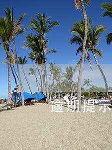 逾期提示付款什么后果 逾期提示付款什么后果