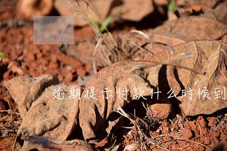 逾期提示付款什么时候到账 逾期提示付款什么时候到账