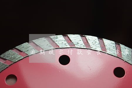 逾期提示付款会丧失追索权 逾期提示付款会丧失追索权