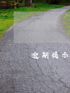 逾期提示付款原因 逾期提示付款原因