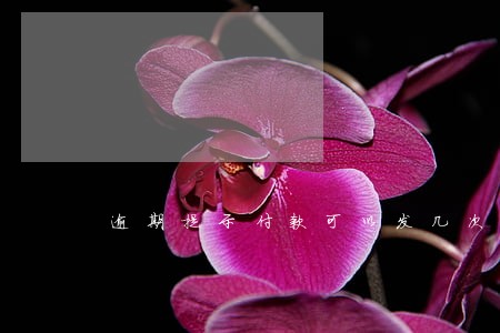 逾期提示付款可以发几次 逾期提示付款可以发几次