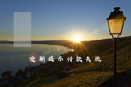 逾期提示付款失败 逾期提示付款失败