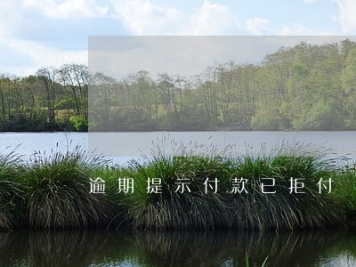 逾期提示付款已拒付 逾期提示付款已拒付