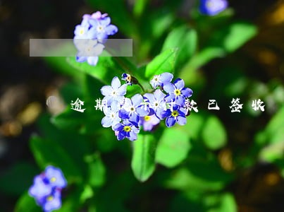 逾期提示付款已签收 逾期提示付款已签收
