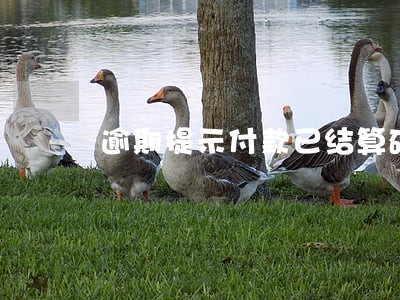 逾期提示付款已结算确认 逾期提示付款已结算确认