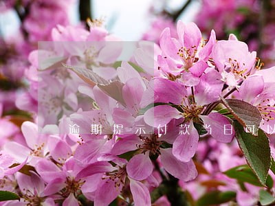 逾期提示付款当日可以 逾期提示付款当日可以