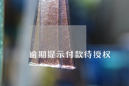 逾期提示付款待授权 逾期提示付款待授权