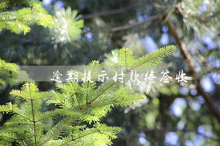 逾期提示付款待签收 逾期提示付款待签收