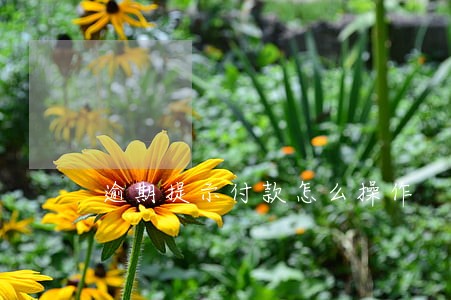 逾期提示付款怎么操作 逾期提示付款怎么操作