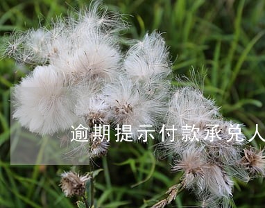 逾期提示付款承兑人或付款人 逾期提示付款承兑人或付款人