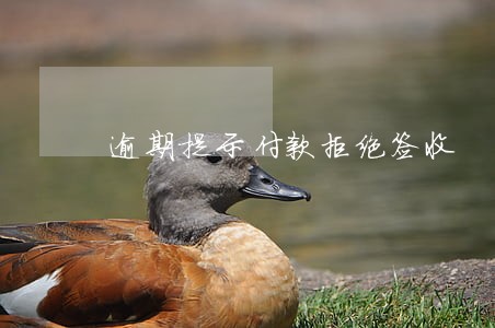 逾期提示付款拒绝签收 逾期提示付款拒绝签收