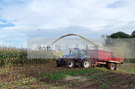 逾期提示付款效力 逾期提示付款效力