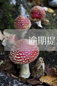 逾期提示付款日期怎么填 逾期提示付款日期怎么填