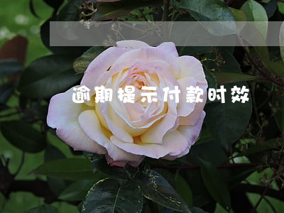 逾期提示付款时效 逾期提示付款时效