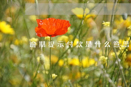 逾期提示付款是什么意思 逾期提示付款是什么意思