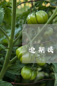 逾期提示付款是否享有追索权 逾期提示付款是否享有追索权